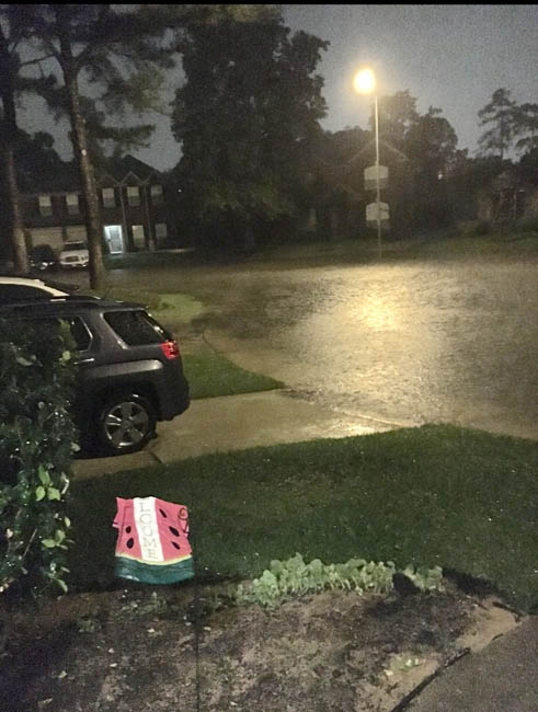 <div class='meta'><div class='origin-logo' data-origin='none'></div><span class='caption-text' data-credit=''>Photos of flooding across southeast Texas</span></div>