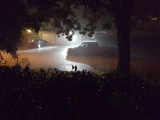 <div class='meta'><div class='origin-logo' data-origin='none'></div><span class='caption-text' data-credit=''>Photos of flooding across southeast Texas</span></div>