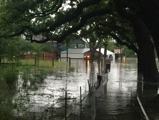<div class='meta'><div class='origin-logo' data-origin='none'></div><span class='caption-text' data-credit=''>Viewer photos of flooding across the Houston area.</span></div>