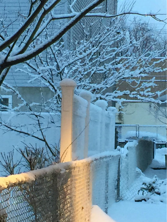 PHOTOS: Monday snowstorm across the New York area from ...