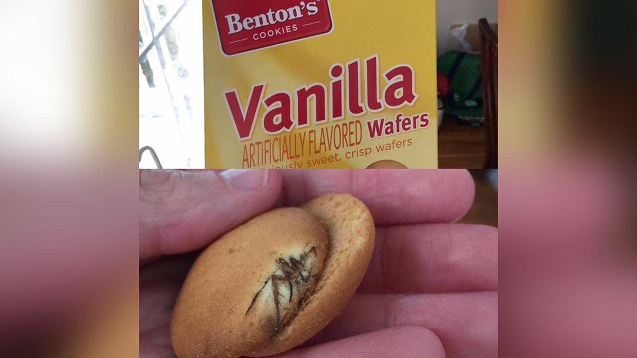 Aldi grocery chain investigating report of bug in box of vanilla wafer