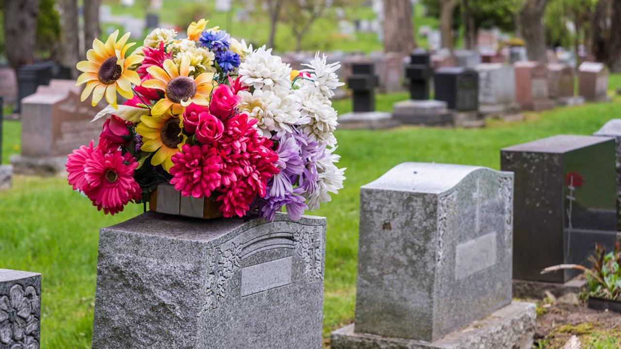 Flower shop owner accused of stealing plants from cemetery in New