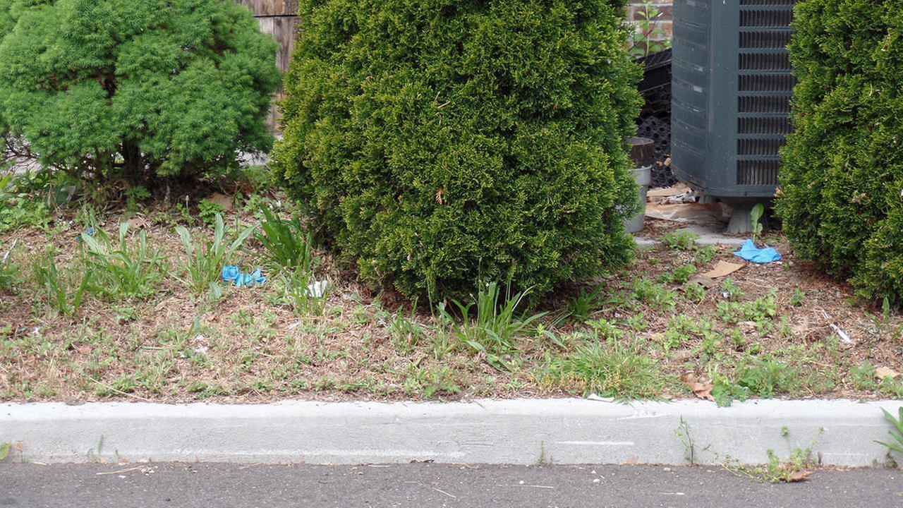 Police find abandoned newborn behind grocery store Police find abandoned newborn behind grocery store
