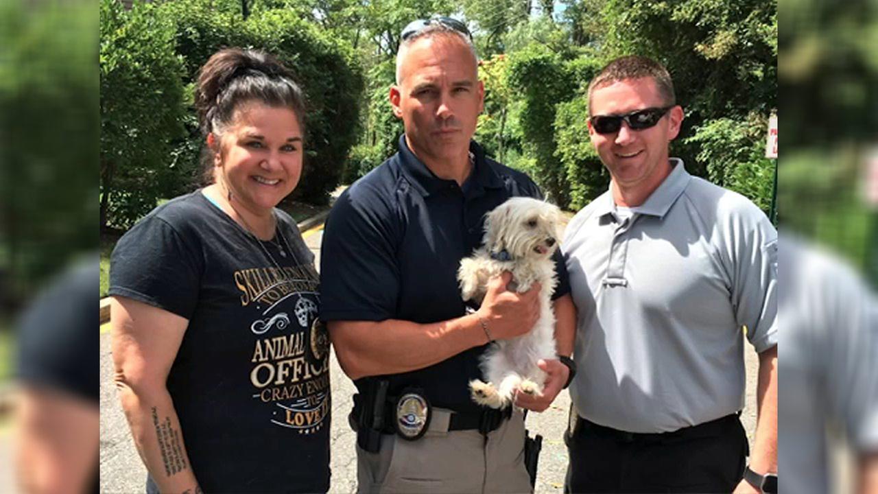 'Tinder date' steals family dog, other valuables 'Tinder date' steals family dog, other valuables