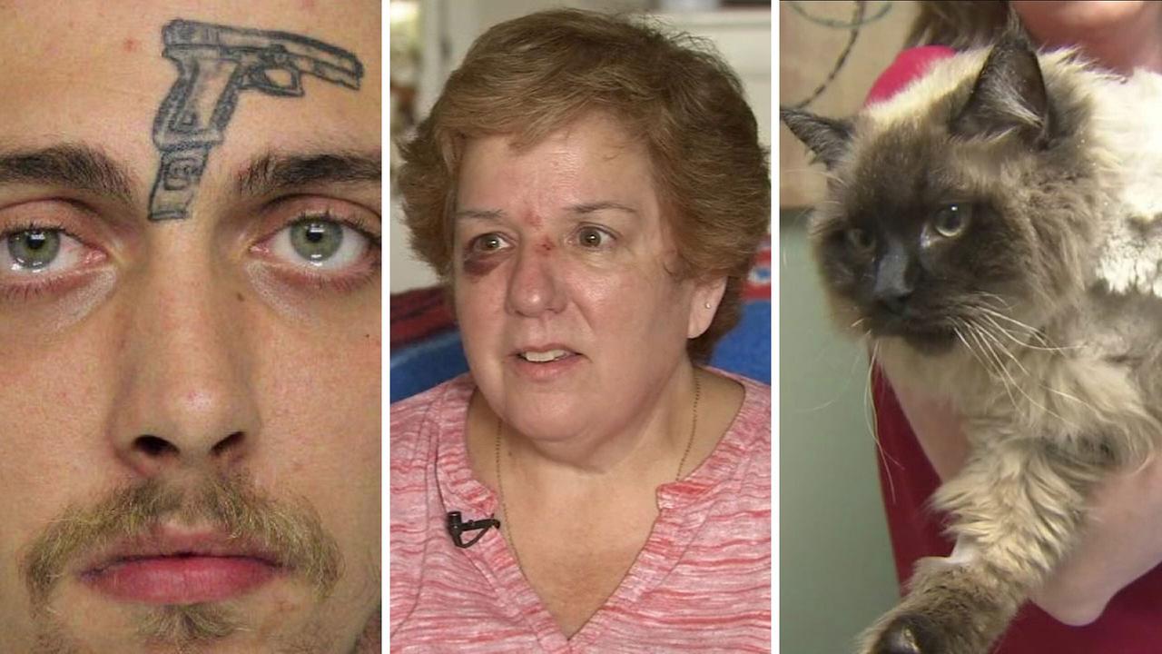 This Week in Weird Dangerous hot dogs, forehead tattoos, obese cats