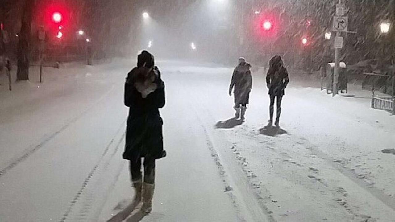 Cleaning up snow, mass transit gets back to normal in New Yorkarea