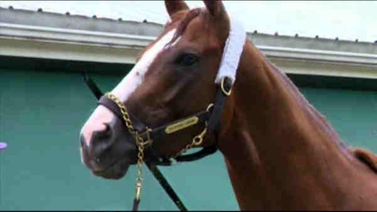 New York Racing Association gives the okay for California Chrome to