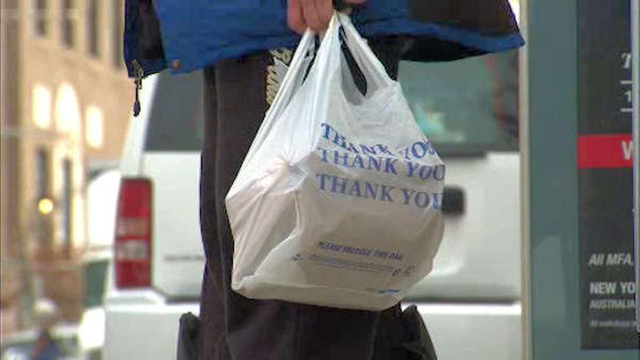 New York State lawmakers pushing to block New York City&#39;s plastic bag tax | 0