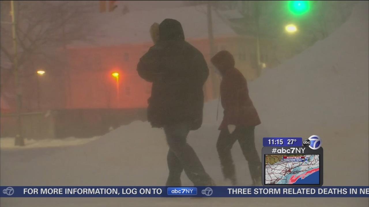 This Snowstorm Is The 2nd Biggest In New York Citys History 