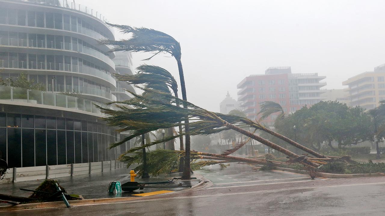 Image result for hurricane irma 2017