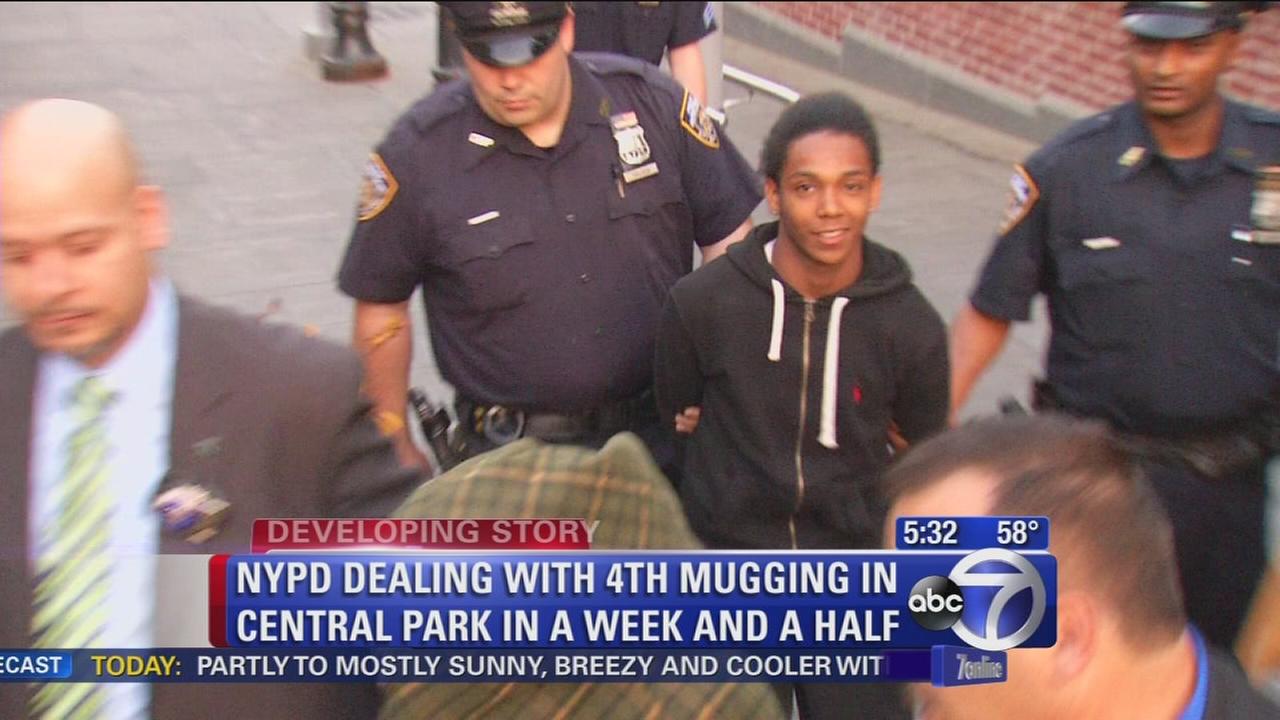 Police investigating 4th Central Park mugging in past two weeks - WABC-TV