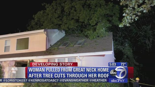 Woman rescued from LI home after tree falls through roof