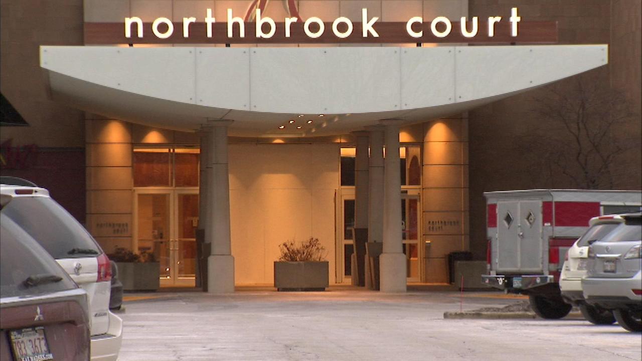 Burglars crash stolen car into Louis Vuitton store at Northbrook Court, police say | mediakits.theygsgroup.com