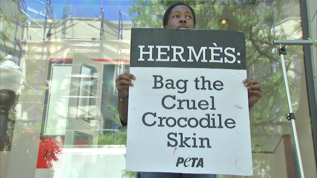 PETA protests outside Hermes store in Gold Coast | abc7chicago.com