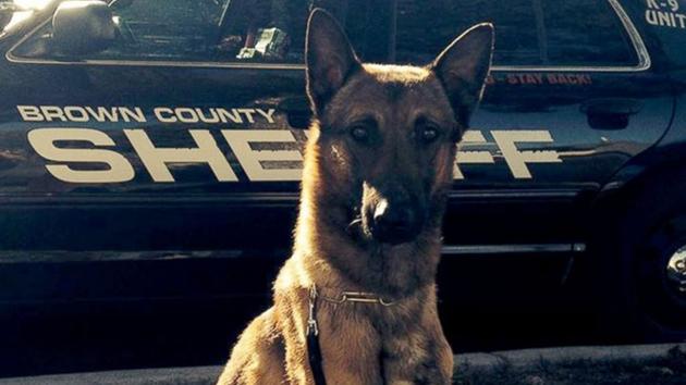 Wix, a K-9 unit dog for Brown County Sheriffs Department, is seen in this undated photo.