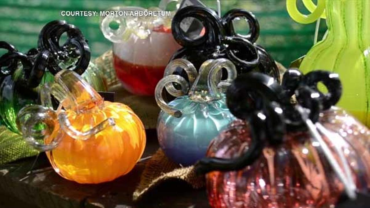 PHOTOS: Morton Arboretum's Glass Pumpkin Patch | abc7chicago.com