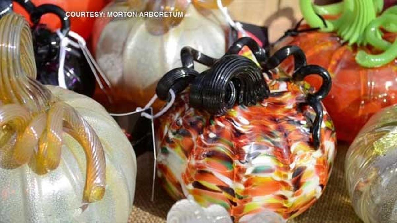 PHOTOS Morton Arboretum's Glass Pumpkin Patch