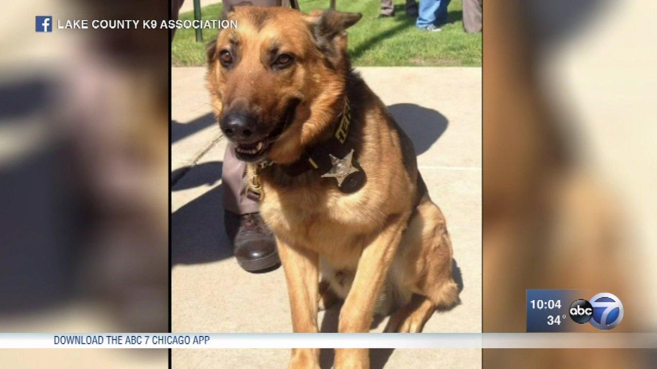 shooting dogs the 209 beat june 18 2016 the the 209 beat is an emmy award winning abc7 show that shooting dogs the 209 beat june 18 2016 the the 209 beat is an emmy award winning abc7 show that