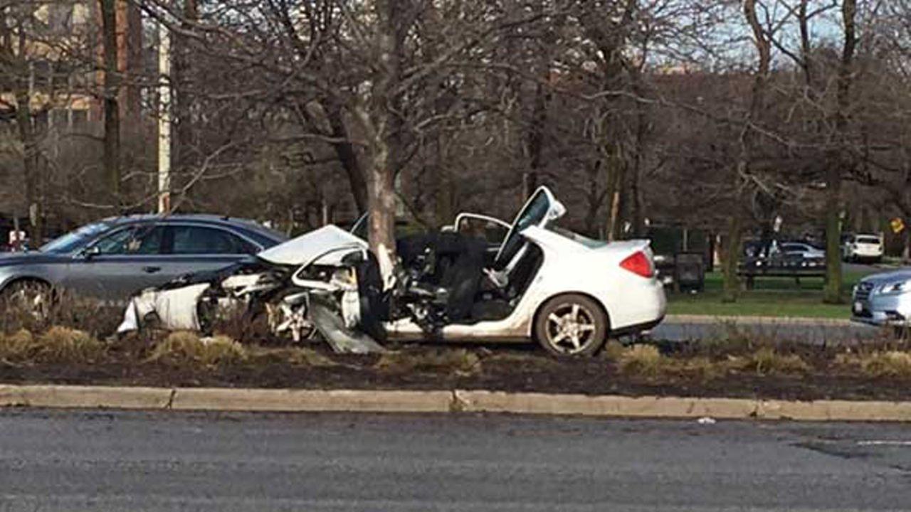 Man critically injured in Lake Shore Drive crash where car hit tree