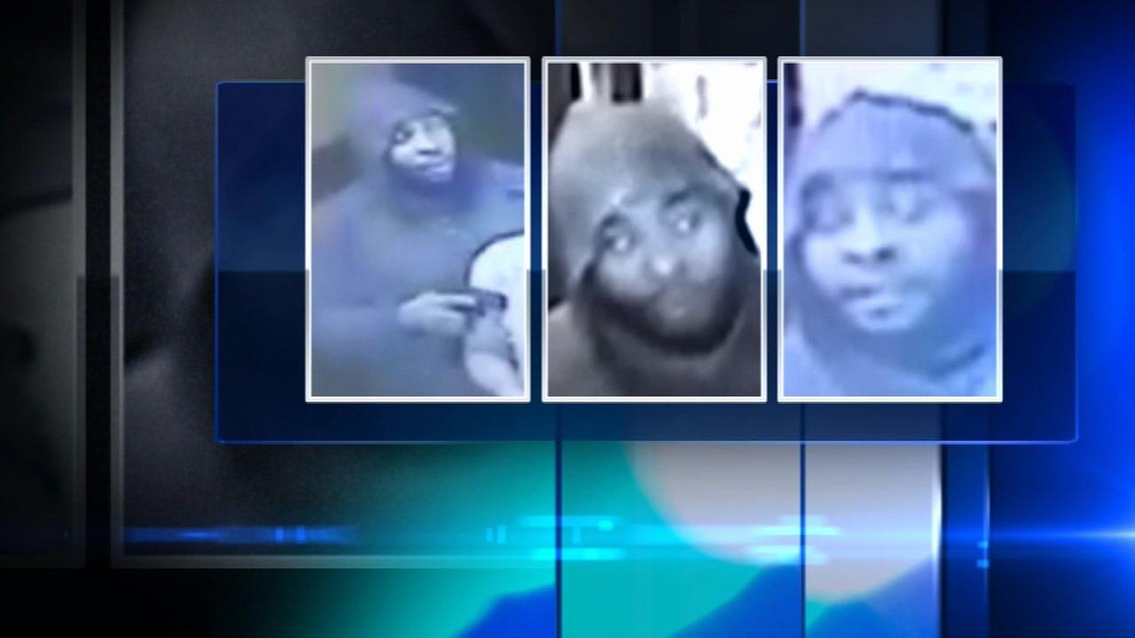 Bags of human remains found in Chicago park Bags of human remains found in Chicago park