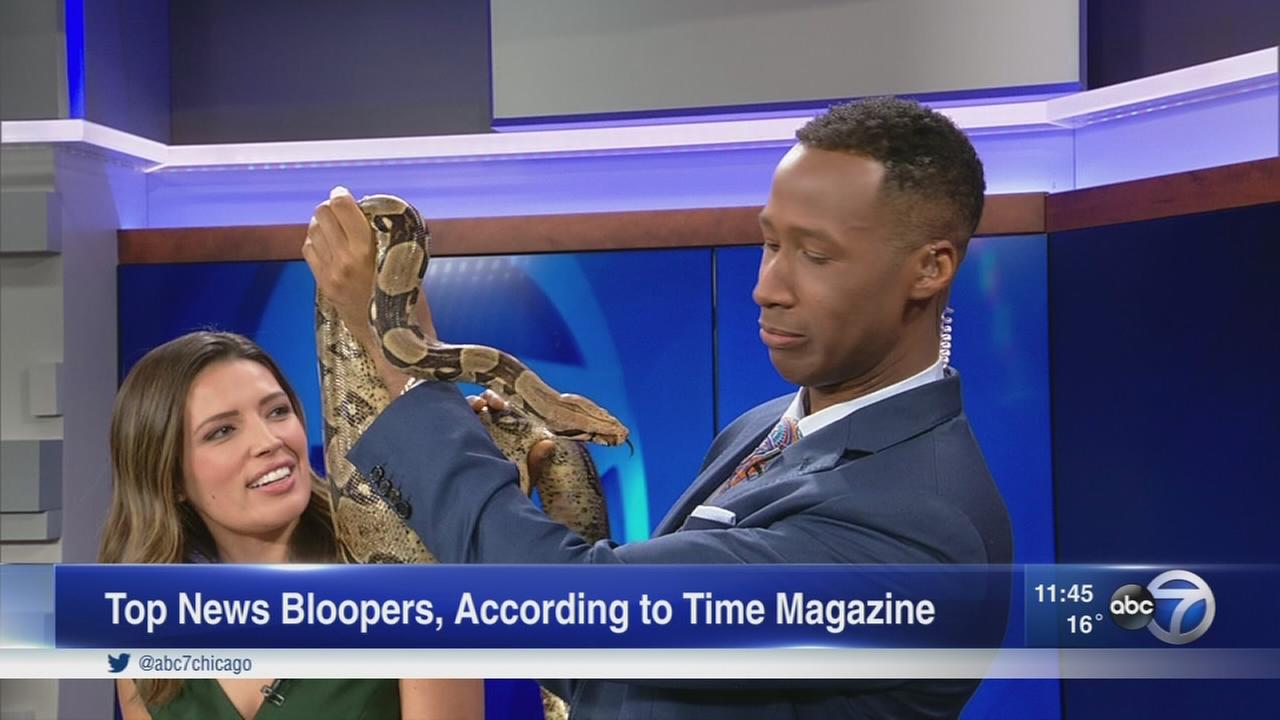 Terrell Brown's snake encounter named best news blooper of 2016