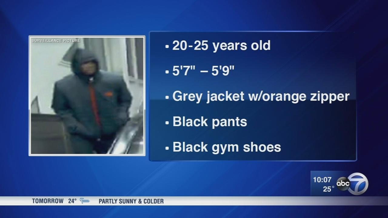 Police: Woman attacked after getting off CTA bus in Grand Crossing - WLS-TV