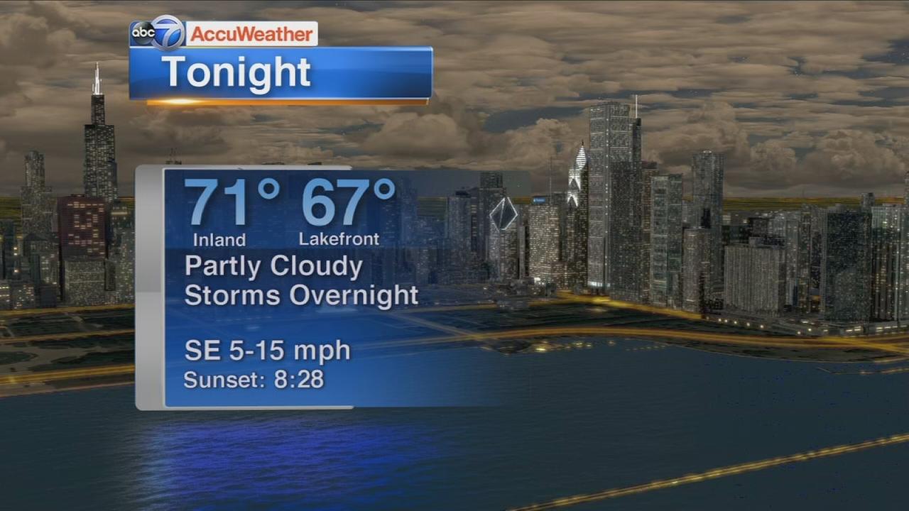 Chicago Weather Storm uproots large trees in Evanston, Wilmette