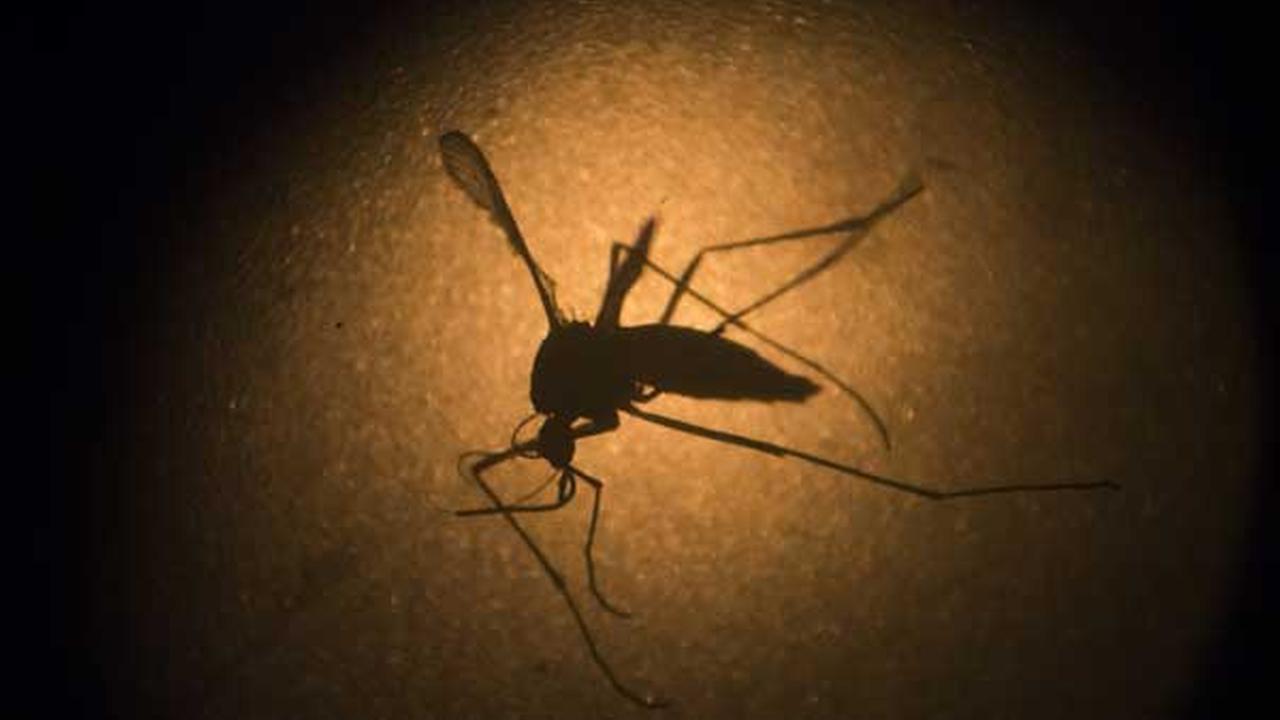 First case of Zika virus identified in Philadelphia resident
