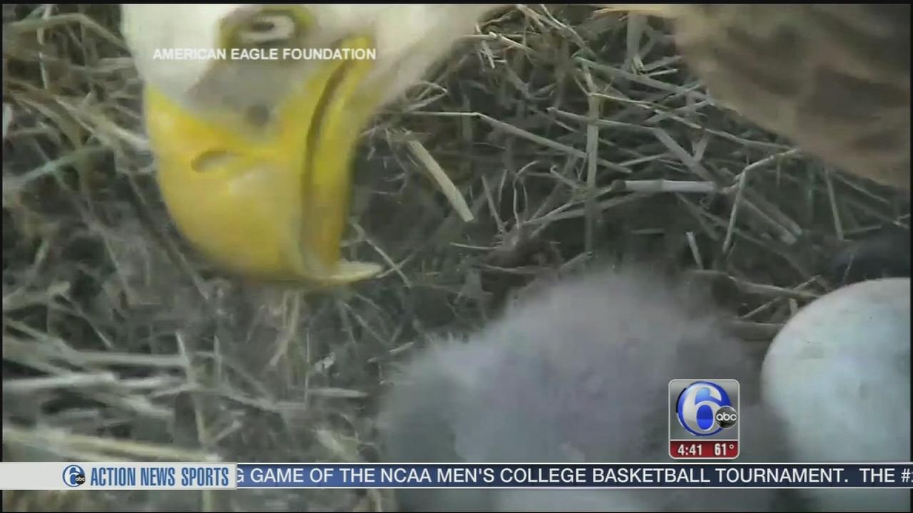 6abc Action News WPVI Philadelphia, Pennsylvania, New Jersey and