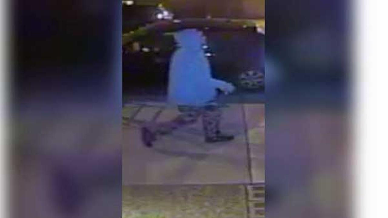 Woman's purse stolen at gunpoint in Northern Liberties