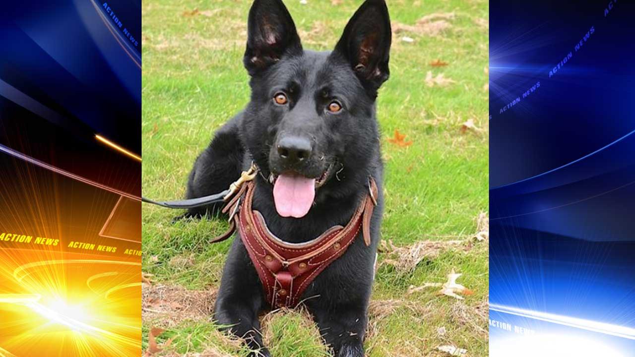 Police K9 finds missing 11-year-old boy in Delaware - 6abc.com