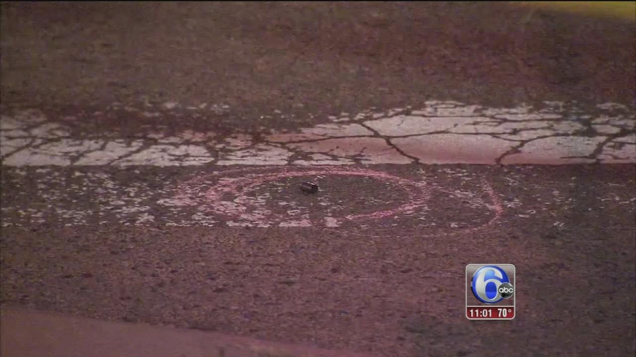 Police shoot aggressive dog in South Philadelphia - 6abc.com