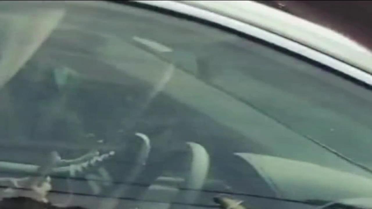 Woman Caught On Video Texting While Driving With Feet