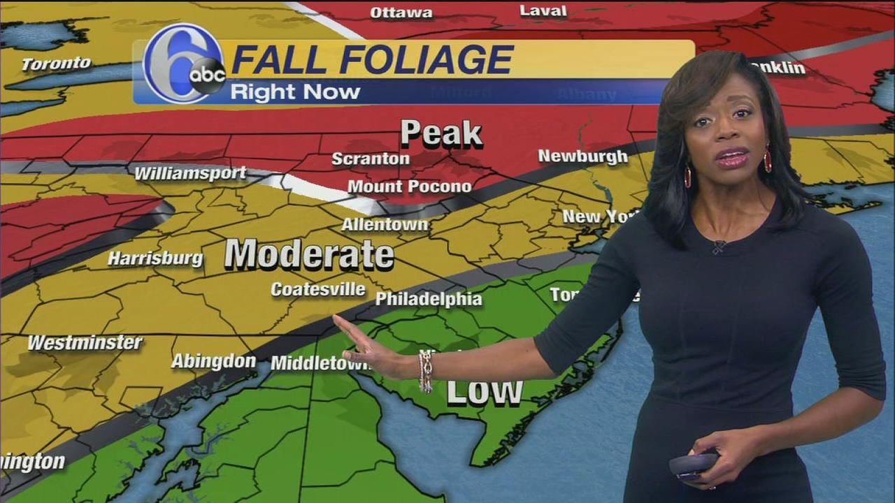 VIDEO Eva Pilgrim reports on snow in Exton