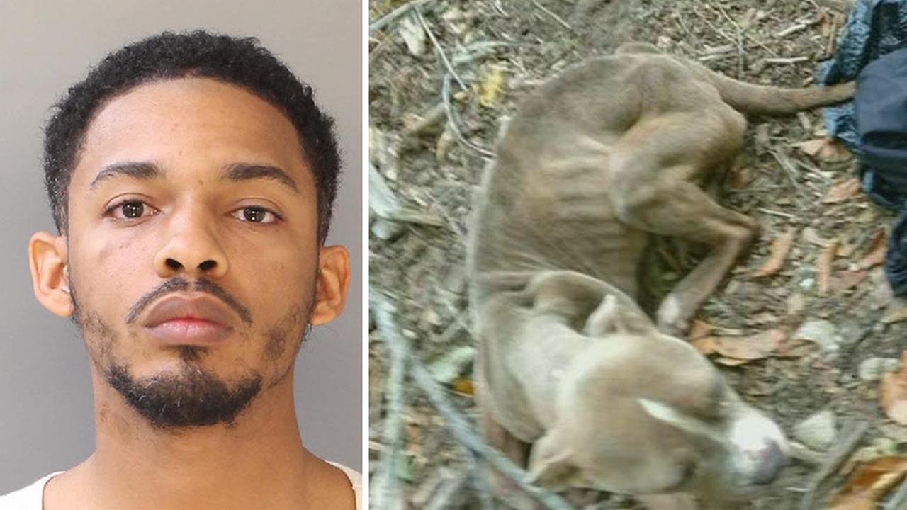 Philadelphia police officer charged after dog abused, abandoned in trash bag - 6abc.com
