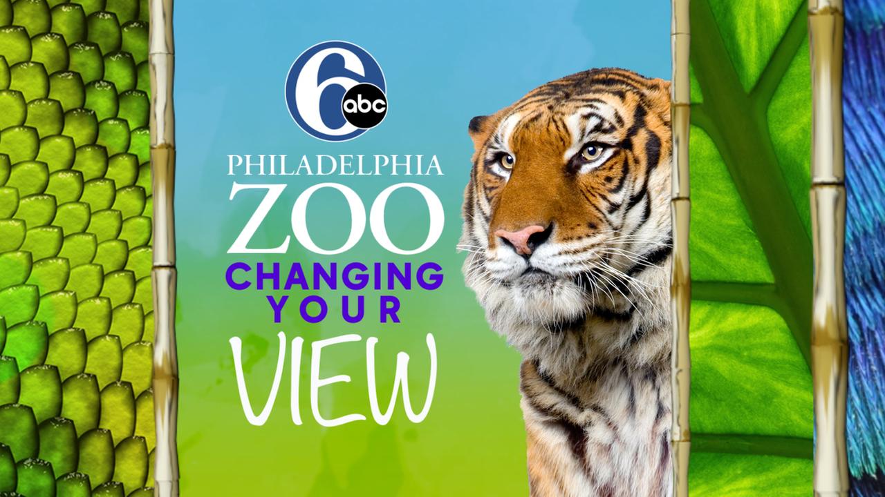 6abc Action News WPVI Philadelphia, Pennsylvania, New Jersey and