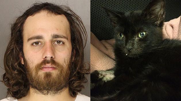 Sadist who beat his kitten and injected it with heroin leniently sentenced in PA