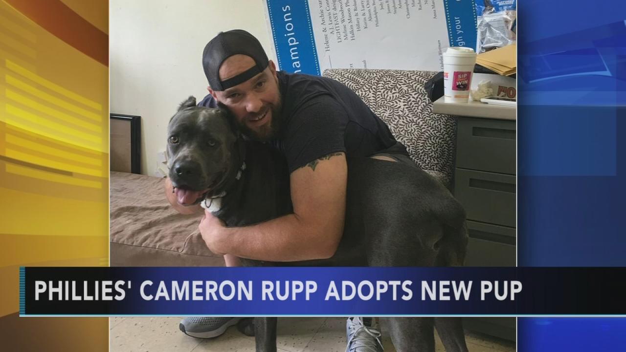 Phillies' Rupp adopts dog left outside PSPCA