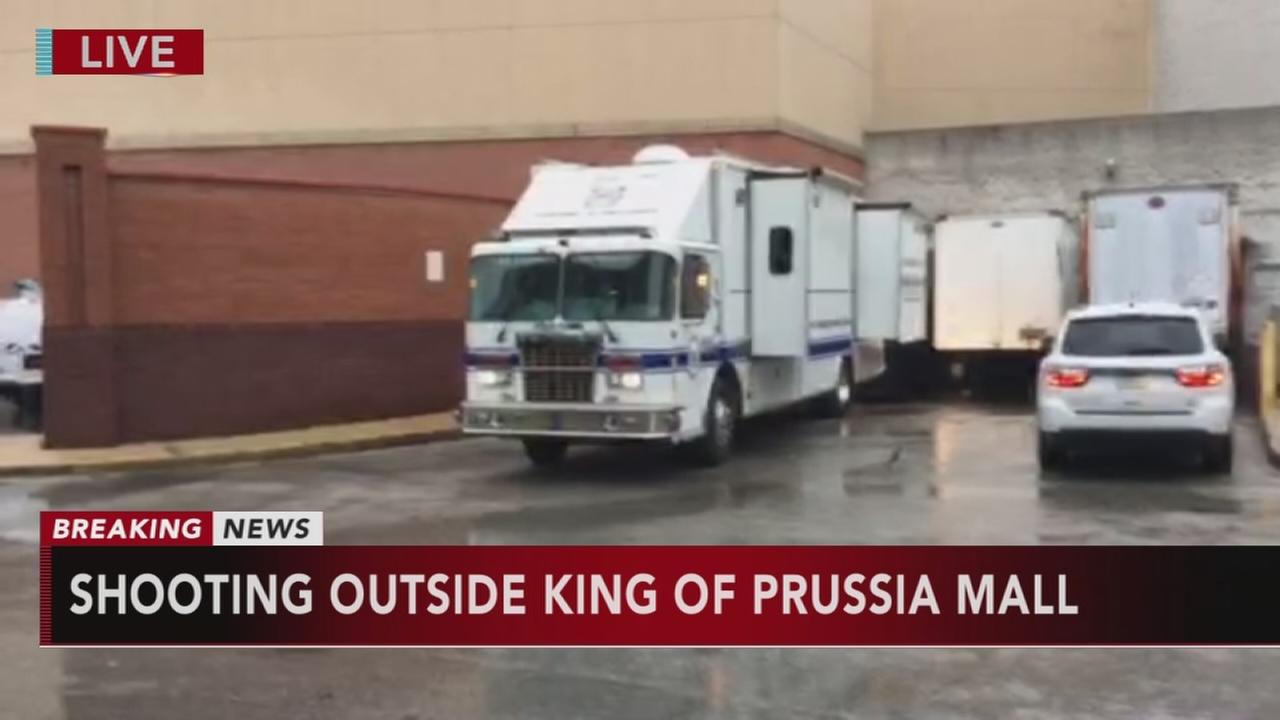 PHOTOS Kitten checkup at the Philadelphia Zoo