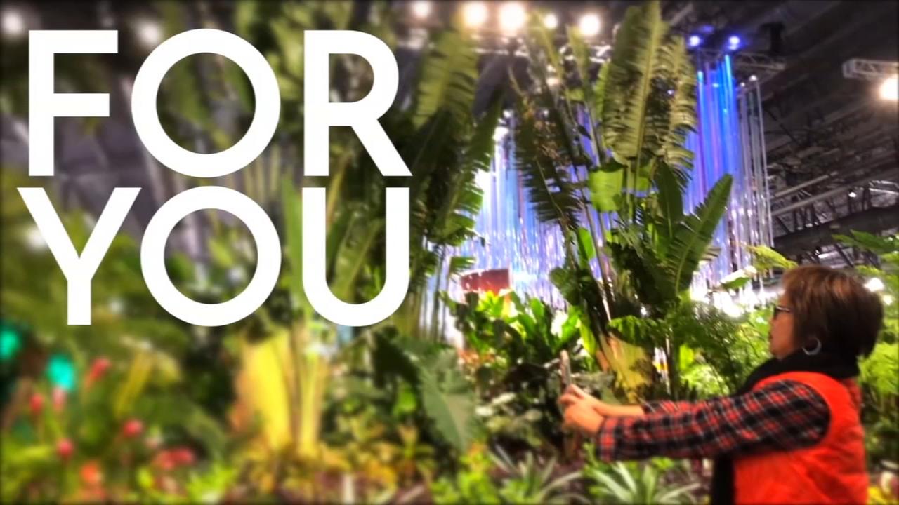 PHOTOS: 2018 Philadelphia Flower Show 2018 Flower Show: Sights and Sounds