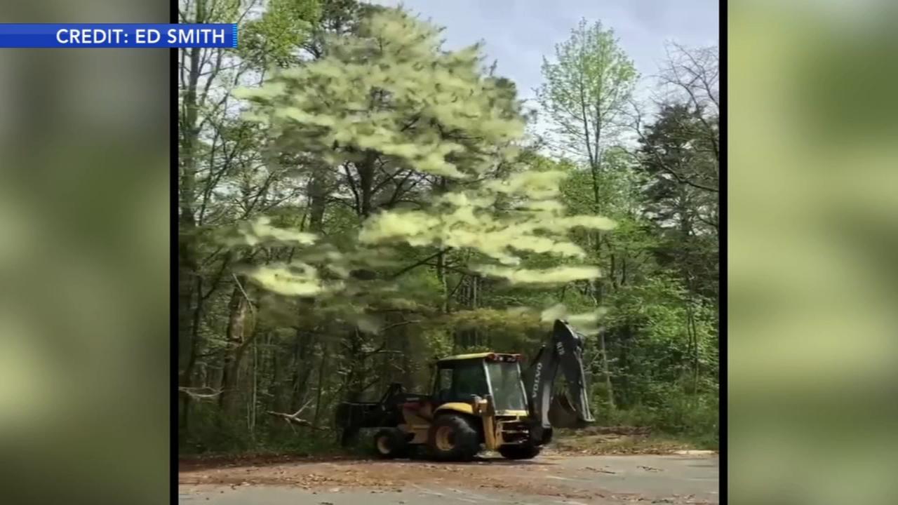 VIDEO Pollen storm in Millville, New Jersey