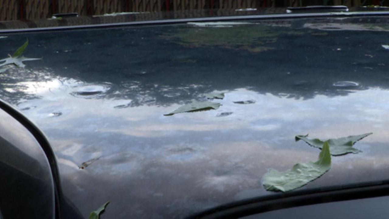 PHOTOS Storm damage in Delaware