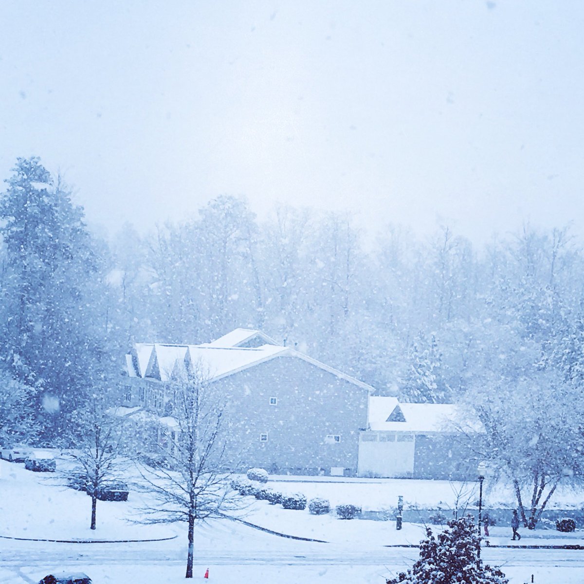 Some areas get more than 10+ inches of snow