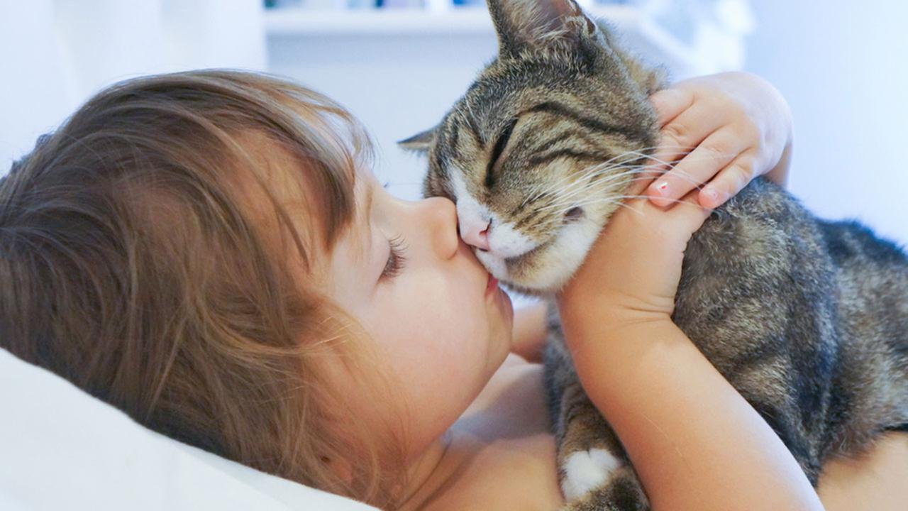 Happy National Cat Day! Here are 9 purrfect ways to celebrate