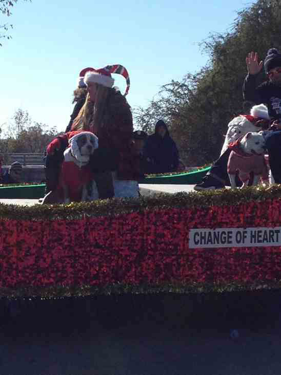 Large crowds attend 70th Annual Raleigh Christmas parade