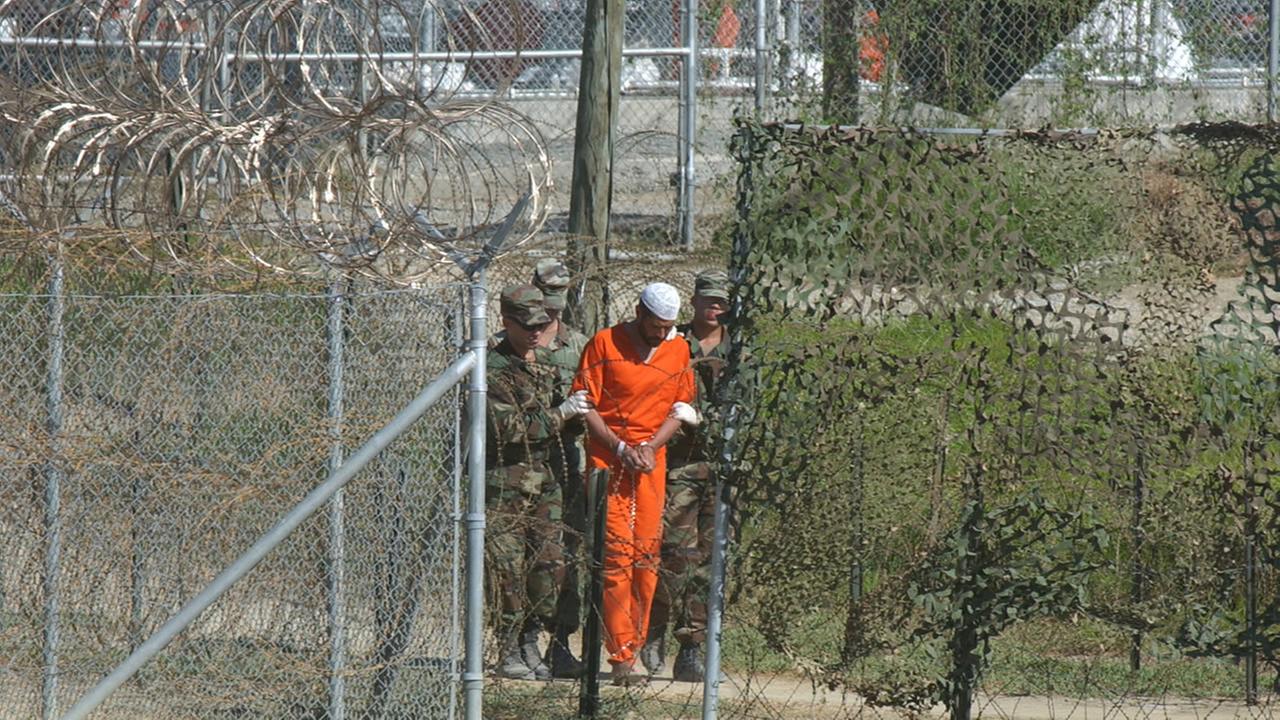 Teens arrested after puppy shot with BB gun in SC | abc11.com