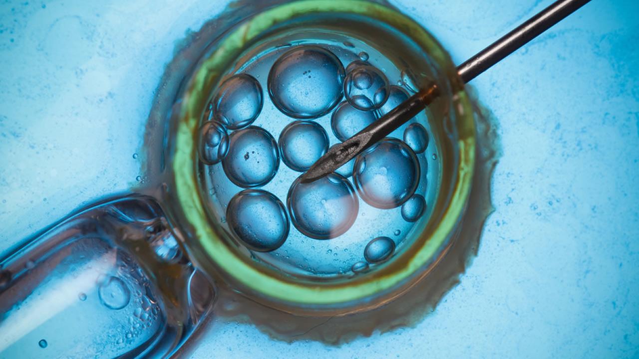 California fertility clinic failure could affect hundreds of patients