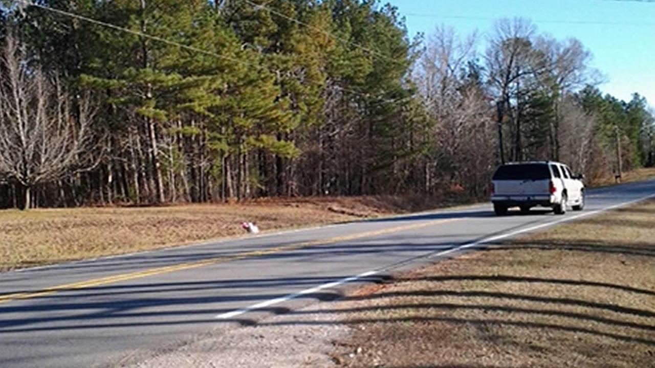 The accident happened Saturday along Culbreth Road (iWitness Photo) The accident happened Saturday along Culbreth Road (iWitness Photo)