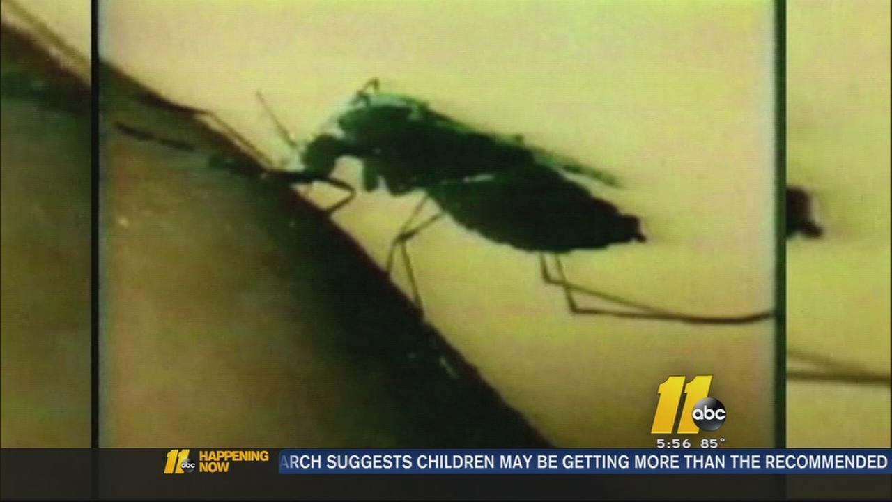 Mosquito season reaches peak across North Carolina