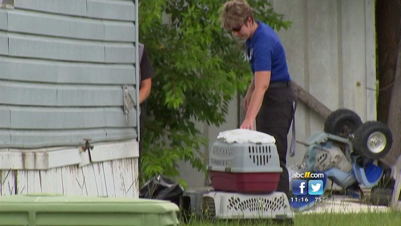 Cats found dead, malnourished in Cumberland County home - WTVD - WTVD-TV